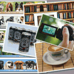 Photography & Video