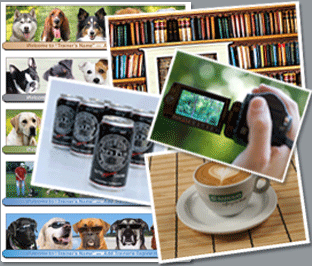 Photography & Video