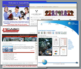 Websites & SEO